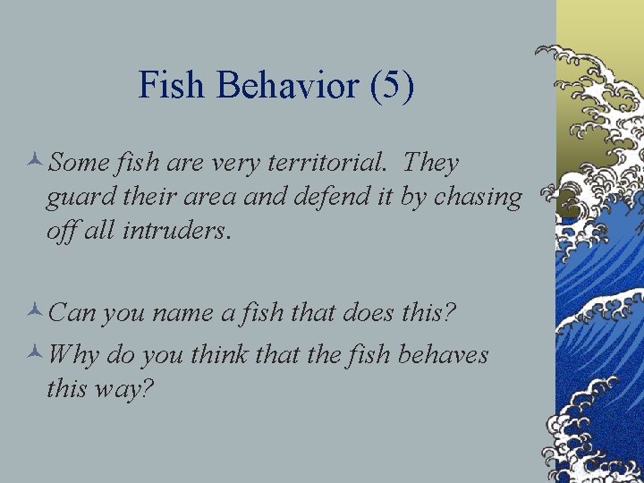 Fish Behavior (5) ©Some fish are very territorial. They guard their area and defend