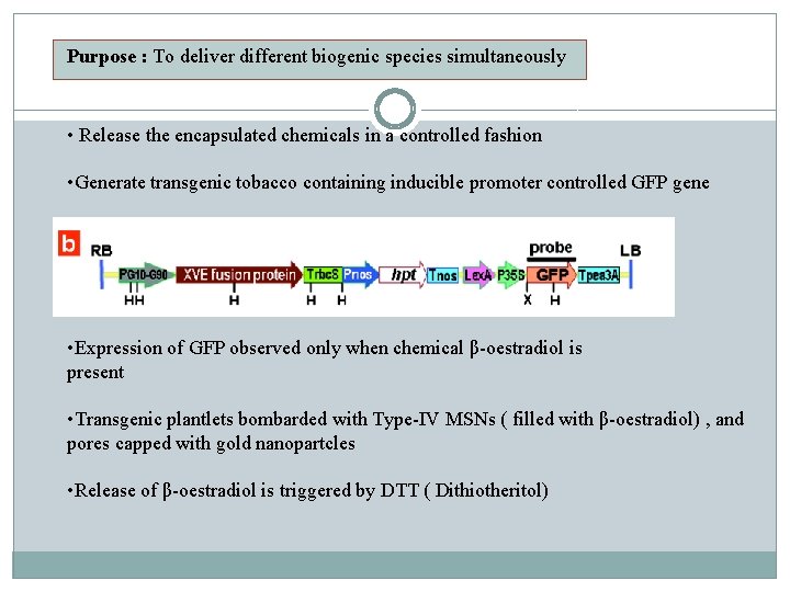 Purpose : To deliver different biogenic species simultaneously • Release the encapsulated chemicals in