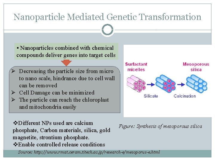 Nanoparticle Mediated Genetic Transformation § Nanoparticles combined with chemical compounds deliver genes into target