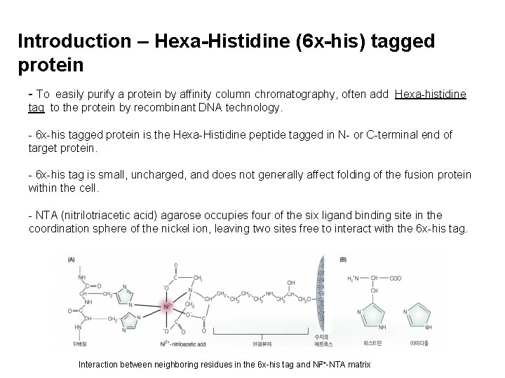 Introduction – Hexa-Histidine (6 x-his) tagged protein - To easily purify a protein by