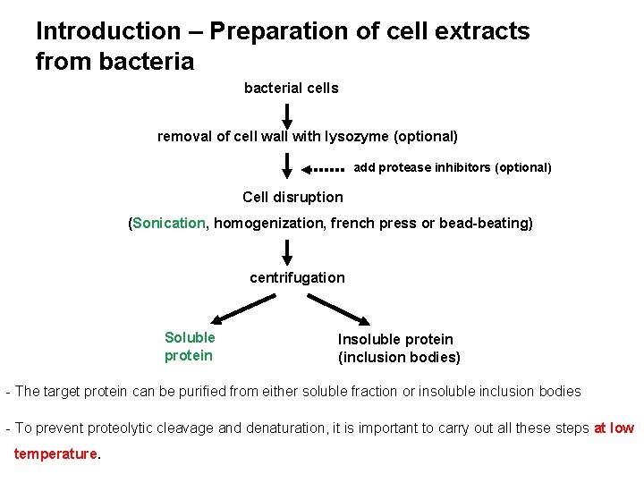 Introduction – Preparation of cell extracts from bacterial cells removal of cell wall with