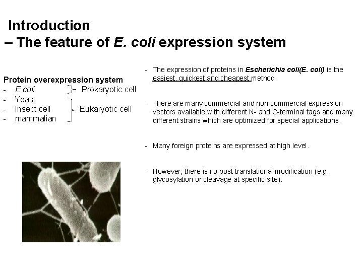  Introduction – The feature of E. coli expression system Protein overexpression system -