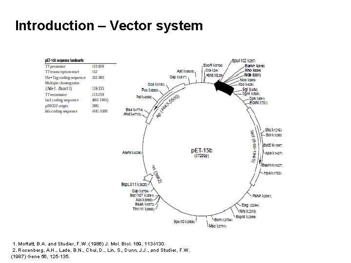  Introduction – Vector system 1. Moffatt, B. A. and Studier, F. W. (1986)