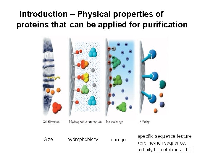  Introduction – Physical properties of proteins that can be applied for purification Size