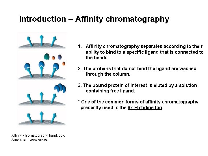  Introduction – Affinity chromatography 1. Affinity chromatography separates according to their ability to