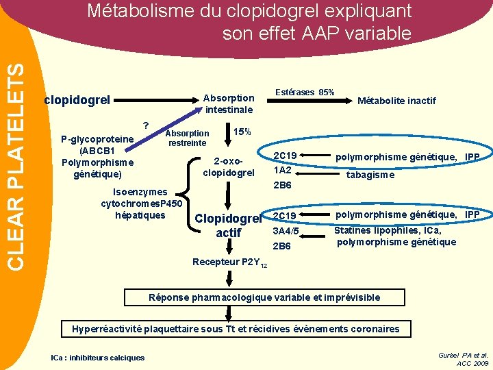 NOM CLEAR PLATELETS Métabolisme du clopidogrel expliquant son effet AAP variable Absorption intestinale clopidogrel