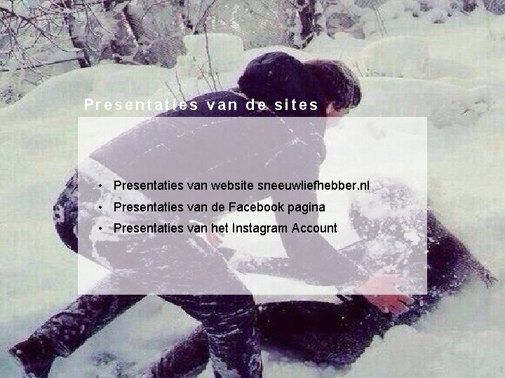 Presentaties van de sites • Presentaties van website sneeuwliefhebber. nl • Presentaties van de