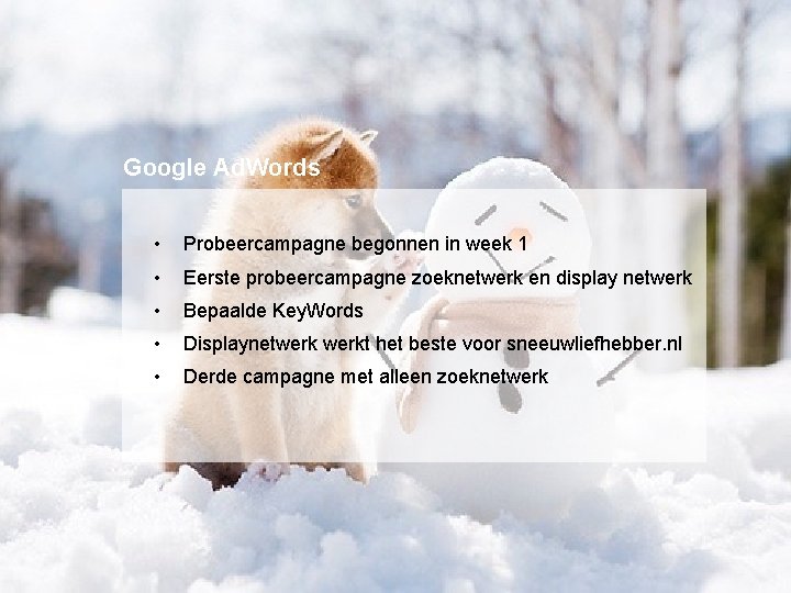 Google Ad. Words • Probeercampagne begonnen in week 1 • Eerste probeercampagne zoeknetwerk en