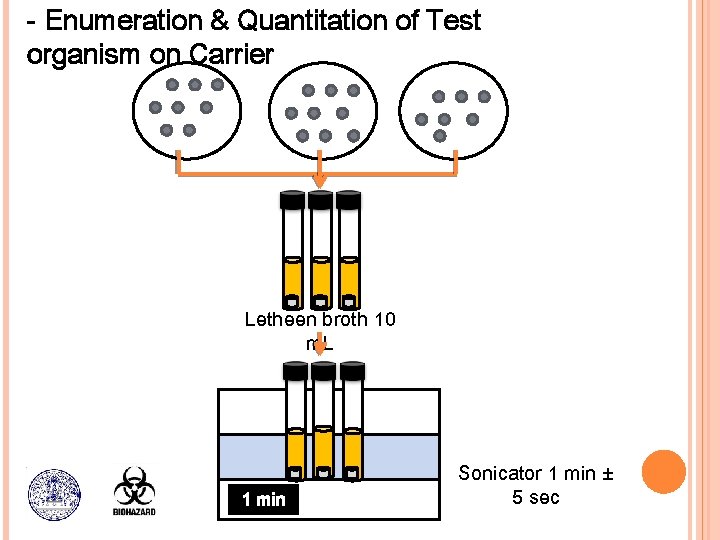 - Enumeration & Quantitation of Test organism on Carrier Letheen broth 10 m. L