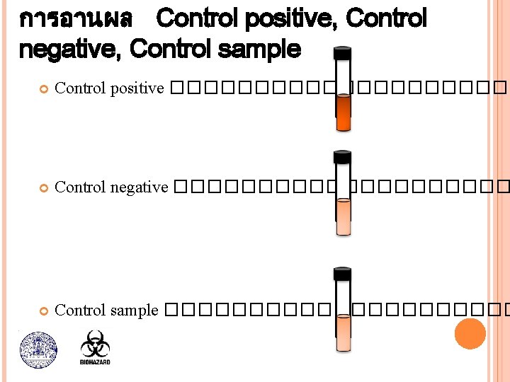 การอานผล Control positive, Control negative, Control sample Control positive ����������� Control negative ���������� Control