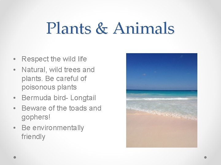 Plants & Animals • Respect the wild life • Natural, wild trees and plants.