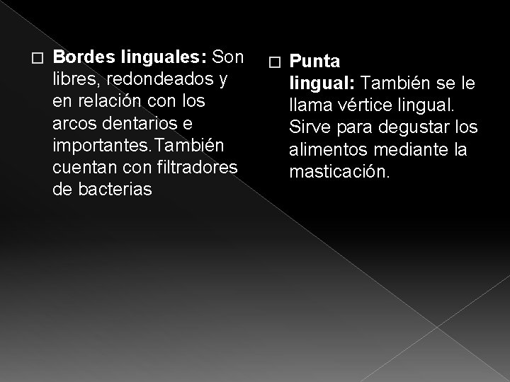 � Bordes linguales: Son � Punta libres, redondeados y lingual: También se le en