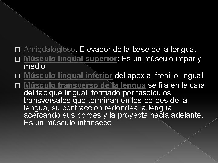 Amigdalogloso. Elevador de la base de la lengua. Músculo lingual superior: Es un músculo