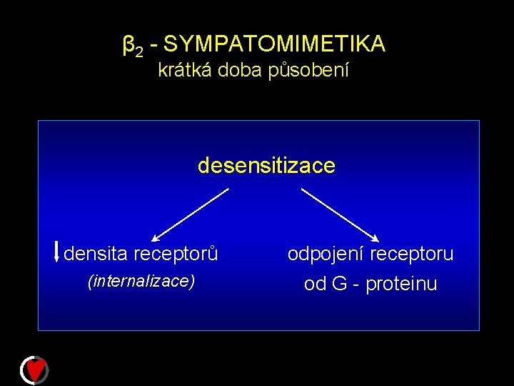 β 2 - SYMPATOMIMETIKA krátká doba působení desensitizace densita receptorů odpojení receptoru (internalizace) od