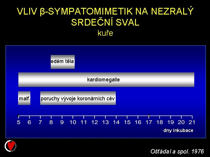 VLIV β-SYMPATOMIMETIK NA NEZRALÝ SRDEČNÍ SVAL kuře edém těla kardiomegalie malf. poruchy vývoje koronárních
