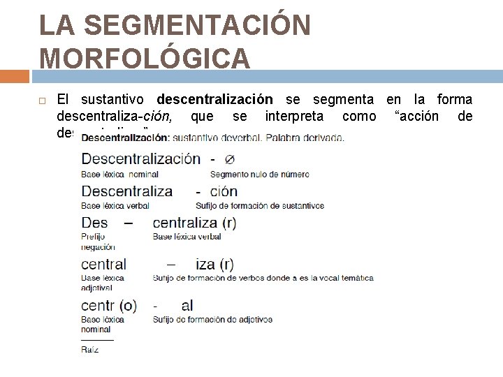 LA SEGMENTACIÓN MORFOLÓGICA El sustantivo descentralización se segmenta en la forma descentraliza-ción, que se