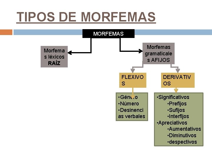 TIPOS DE MORFEMAS Morfemas gramaticale s AFIJOS Morfema s léxicos RAÍZ FLEXIVO S •