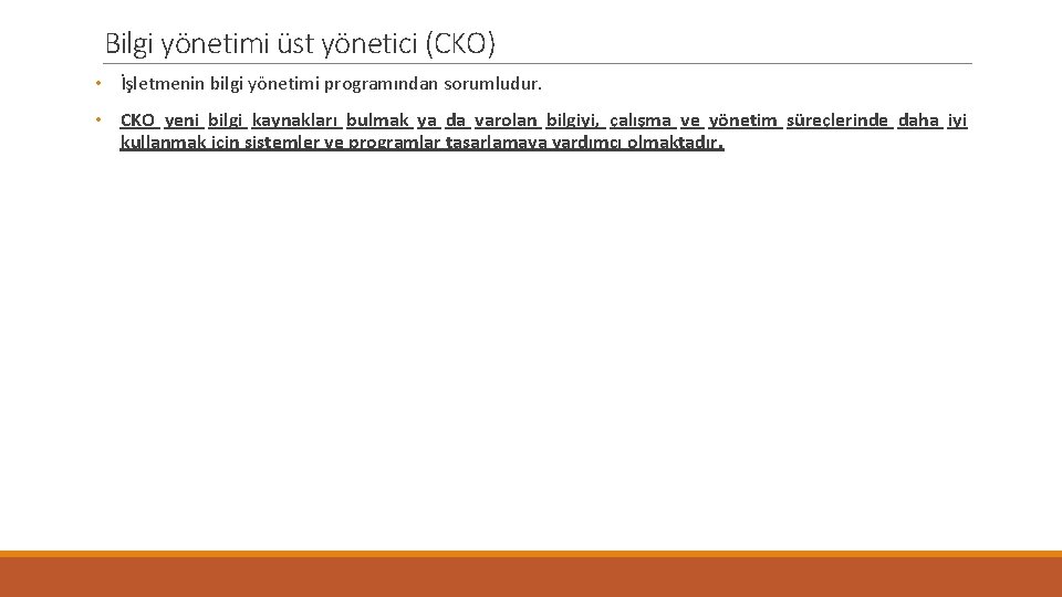 Bilgi yönetimi üst yönetici (CKO) • İşletmenin bilgi yönetimi programından sorumludur. • CKO yeni