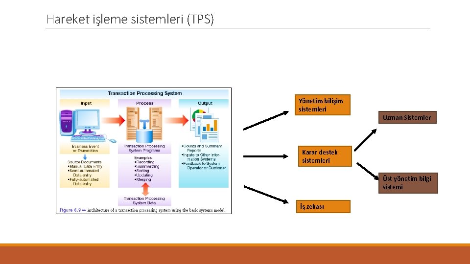 Hareket işleme sistemleri (TPS) Yönetim bilişim sistemleri Uzman Sistemler Karar destek sistemleri Üst yönetim