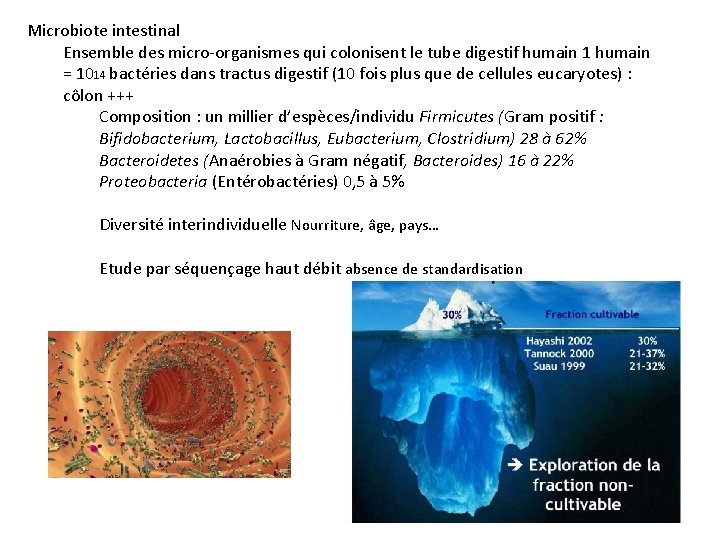 Microbiote intestinal Ensemble des micro-organismes qui colonisent le tube digestif humain 1 humain =