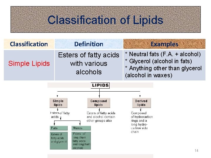Classification of Lipids Classification Definition Examples Simple Lipids Esters of fatty acids with various