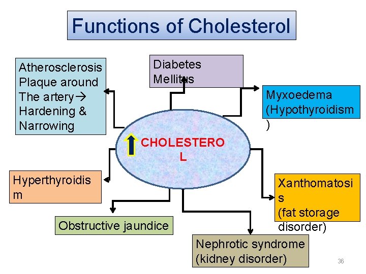 Functions of Cholesterol Atherosclerosis Plaque around The artery Hardening & Narrowing Diabetes Mellitus Myxoedema