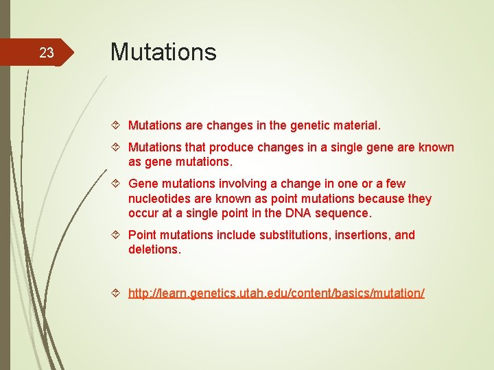 23 Mutations are changes in the genetic material. Mutations that produce changes in a