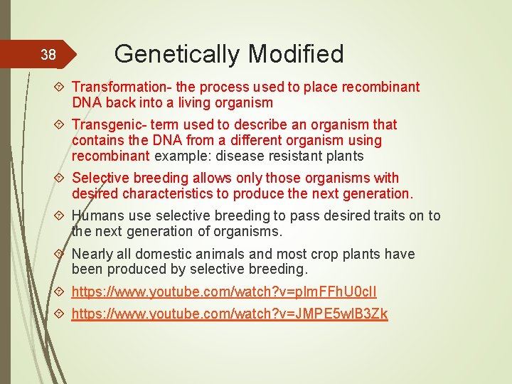 38 Genetically Modified Transformation- the process used to place recombinant DNA back into a