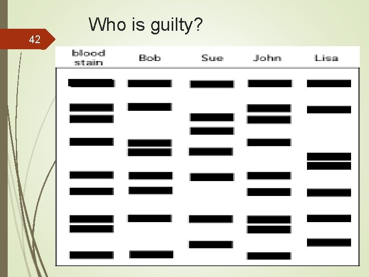  Who is guilty? 42 