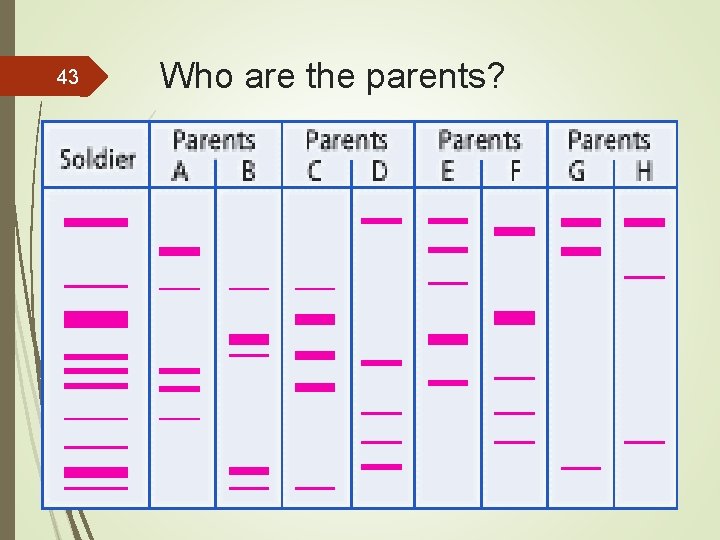 43 Who are the parents? 