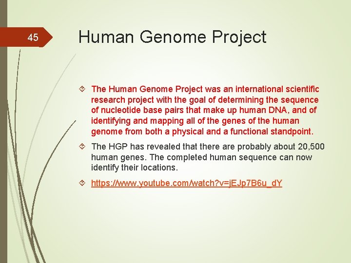 45 Human Genome Project The Human Genome Project was an international scientific research project