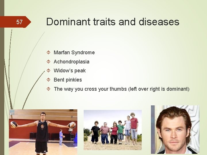 57 Dominant traits and diseases Marfan Syndrome Achondroplasia Widow’s peak Bent pinkies The way