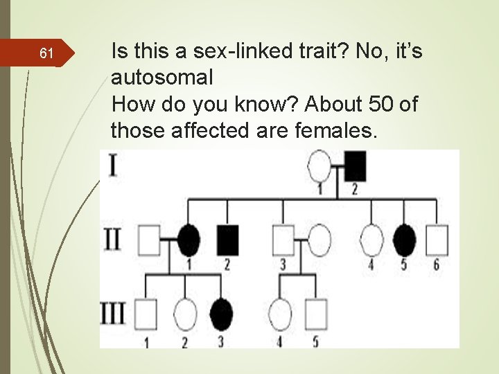 61 Is this a sex-linked trait? No, it’s autosomal How do you know? About