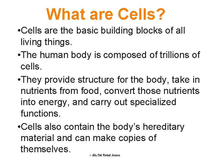 What are Cells? • Cells are the basic building blocks of all living things.