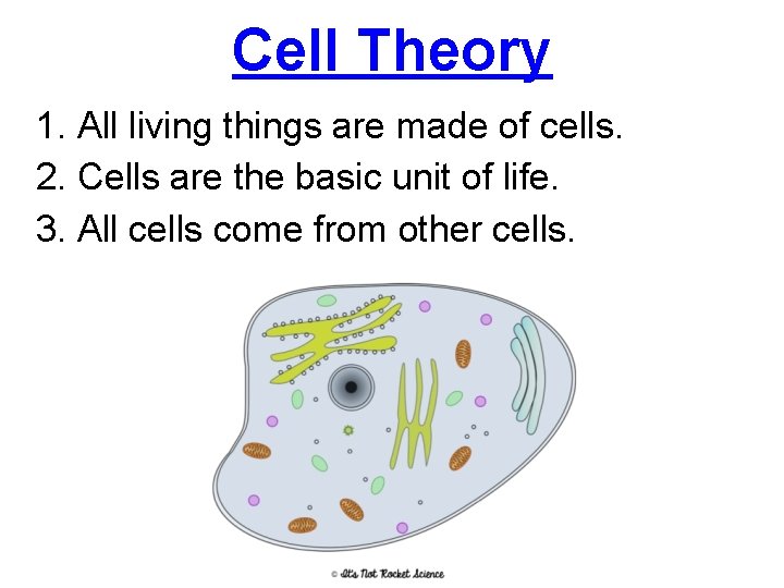 Cell Theory 1. All living things are made of cells. 2. Cells are the