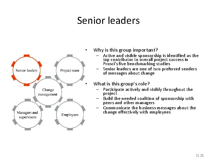 Senior leaders • Why is this group important? • What is this group’s role?