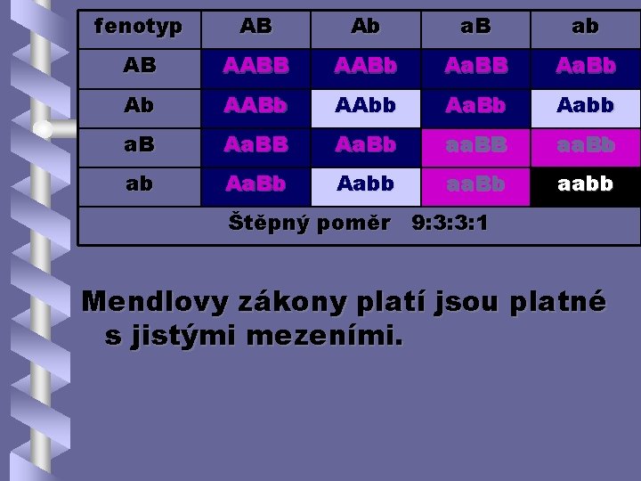 fenotyp AB Ab a. B ab AB AABb Aa. BB Aa. Bb Ab AABb
