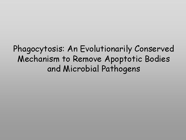 Phagocytosis: An Evolutionarily Conserved Mechanism to Remove Apoptotic Bodies and Microbial Pathogens 