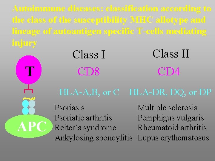 Autoimmune diseases: classification according to the class of the susceptibility MHC allotype and lineage