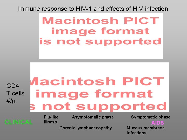 Immune response to HIV-1 and effects of HIV infection CD 4 T cells #/ml