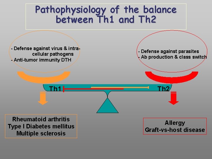 Pathophysiology of the balance between Th 1 and Th 2 - Defense against virus