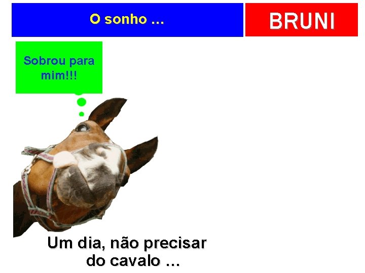 O sonho … Sobrou para mim!!! Um dia, não precisar do cavalo … BRUNI