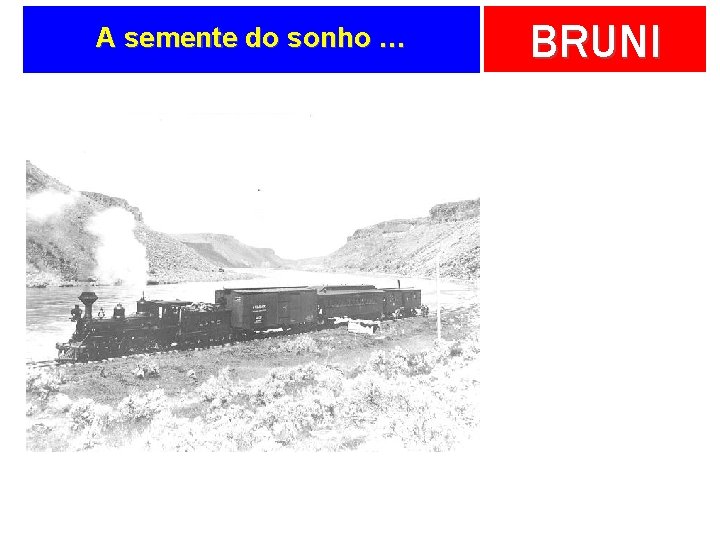 A semente do sonho … BRUNI 