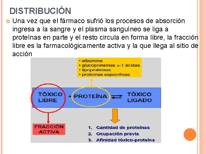 DISTRIBUCIÓN Una vez que el fármaco sufrió los procesos de absorción ingresa a la