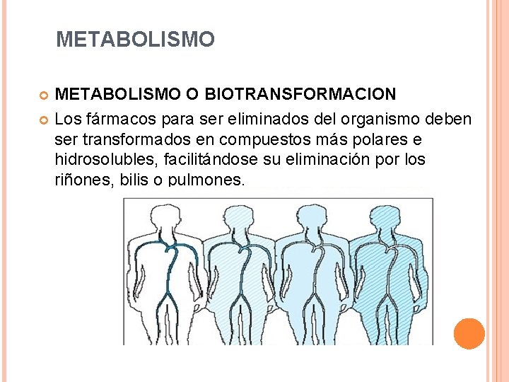 METABOLISMO O BIOTRANSFORMACION Los fármacos para ser eliminados del organismo deben ser transformados en