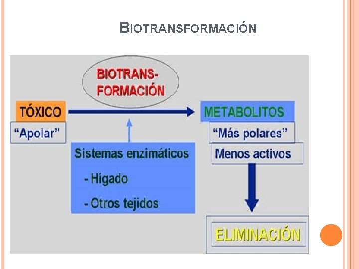 BIOTRANSFORMACIÓN 