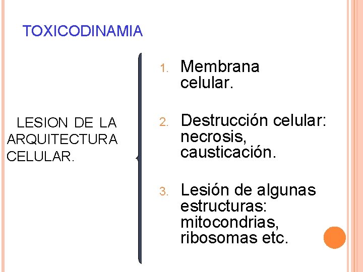 TOXICODINAMIA LESION DE LA ARQUITECTURA CELULAR. 1. Membrana celular. 2. Destrucción celular: necrosis, causticación.