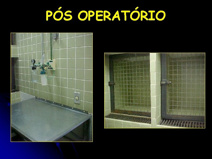 PÓS OPERATÓRIO 