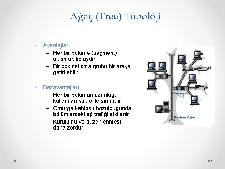  Ağaç (Tree) Topoloji • Avantajları – Her bir bölüme (segment) ulaşmak kolaydır –