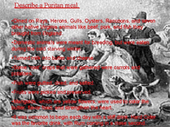 Describe a Puritan meal. • Dined on Rays, Herons, Gulls, Oysters, Raccoons, and seven